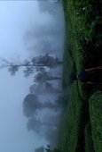 IIP Online Student Photography